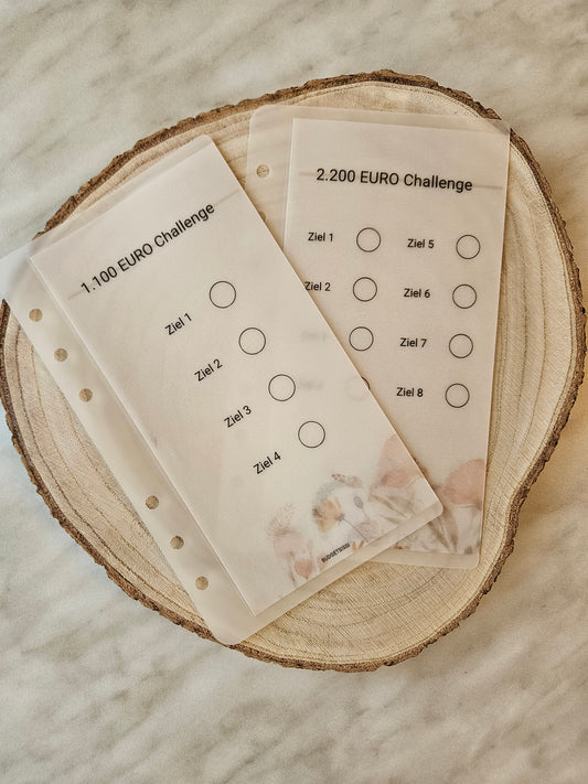 1.100 / 2.200 Sparchallenge