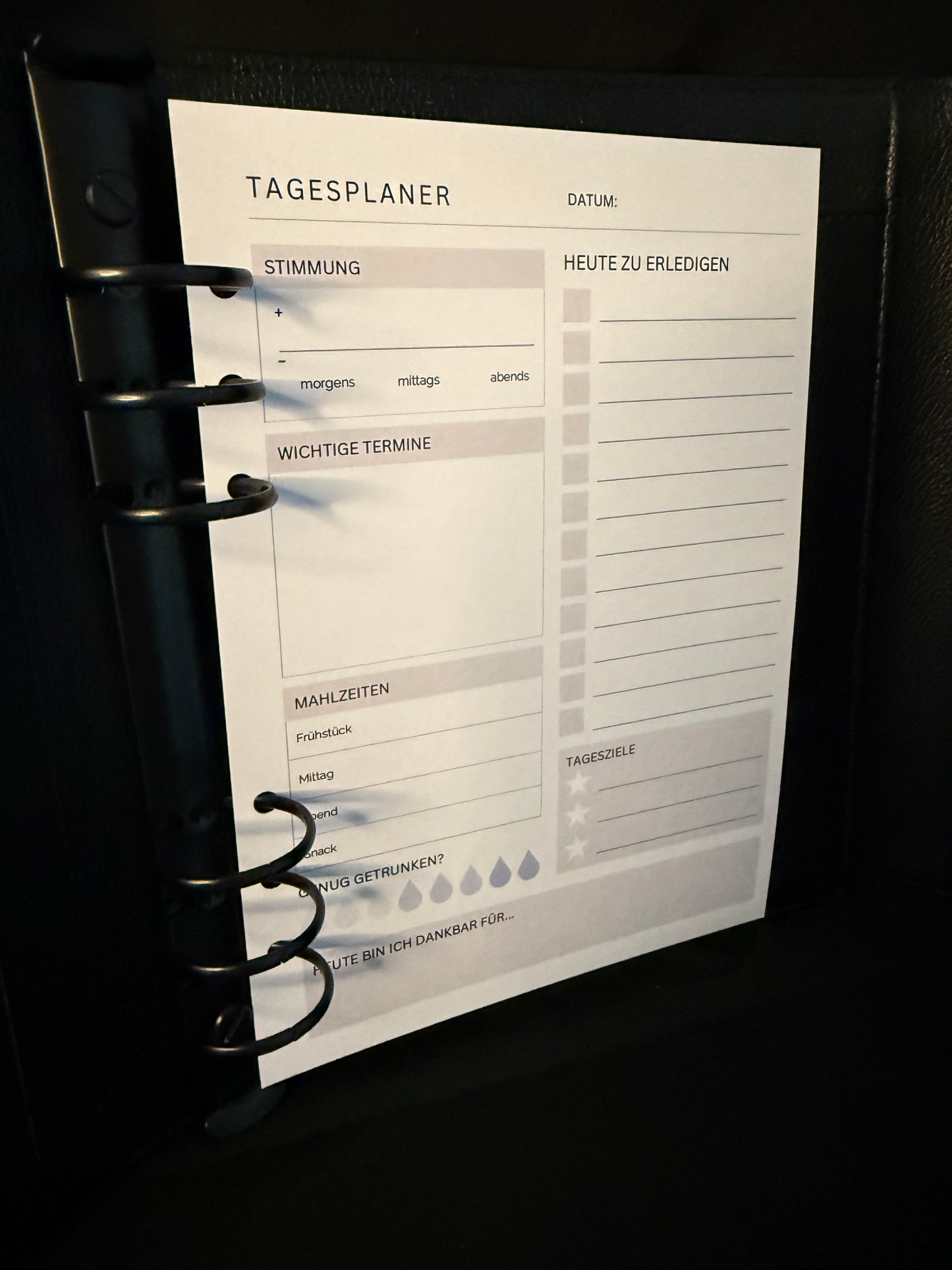Week and Day Planer