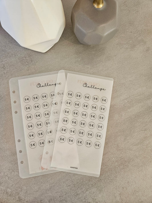 5 Euro Sparchallenge "Transparent"